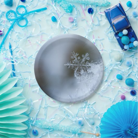 Icy Snowflake Papieren Bordje (Feest)