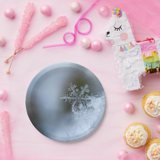 Icy Snowflake Papieren Bordje (Feest)