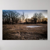 Icy Spring Poster (Voorkant)