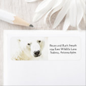 Icy Stare of a Polar Beer Etiket (Insitu)