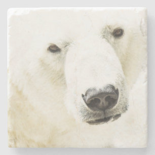 Icy Stare of a Polar Beer Stenen Onderzetter