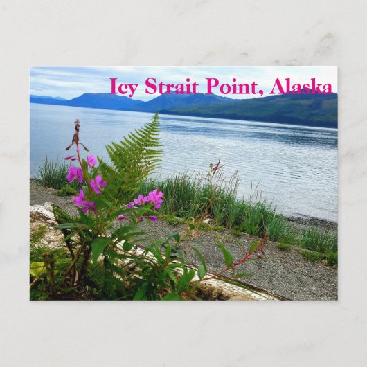 Icy Strait Point, Alaska Briefkaart (Voorkant)