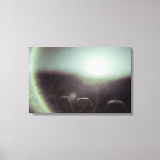 Icy Sun van Alexandra Cook Canvas Afdruk (Voorkant)