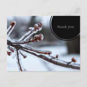 Icy Tree Branch Thank You Briefkaart