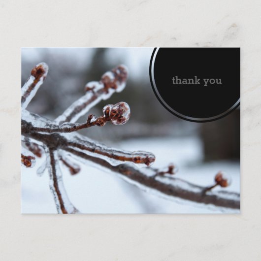 Icy Tree Branch Thank You Briefkaart (Voorkant)