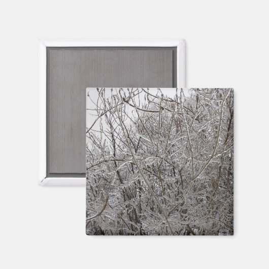 Icy Twigs Magneet (Voorkant / Achterkant)