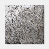 Icy Twigs Magneet (Voorkant)