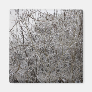 Icy Twigs Magneet