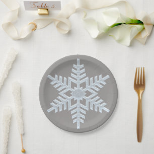Icy White Frozen Sneeuwvlok Elegante Grijze Kerstm Papieren Bordje