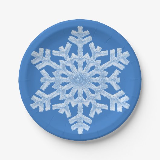 Icy White Frozen Snowflake Frosty Blue Kerstmis Papieren Bordje (Voorkant)