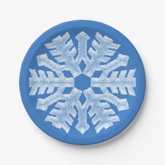 Icy White Frozen Snowflake Frosty Blue Kerstmis Papieren Bordje (Voorkant)