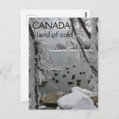 Icy Winter Canada Land of Cold Briefkaart (Voorkant / Achterkant)