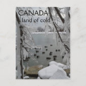 Icy Winter Canada Land of Cold Briefkaart (Voorkant)