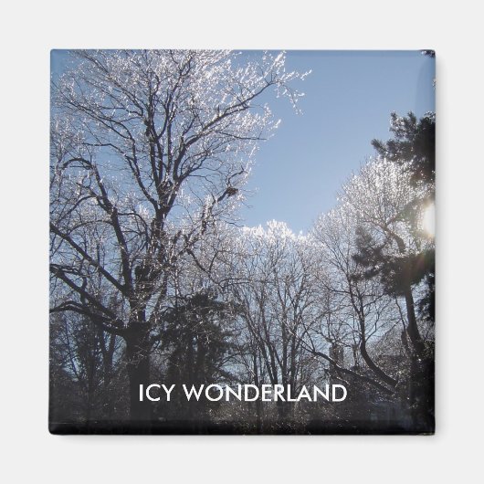 ICY WONDERLAND 4 seizoenen magnet (Voorkant)