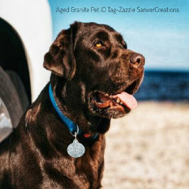 ID-tag voor benaderde graniet Huisdierpenning