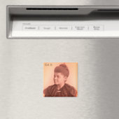 Ida B. Wells Magneet (Insitu (Vaatwasser))