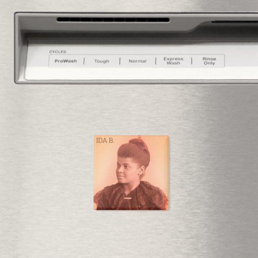 Ida B. Wells Magneet (Insitu (Vaatwasser))
