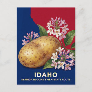 Idaho Aardappel En Syringa Staatssymbolen Briefkaart
