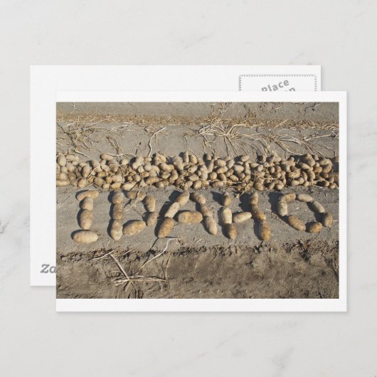 Idaho aardappelen briefkaart (Voorkant / Achterkant)