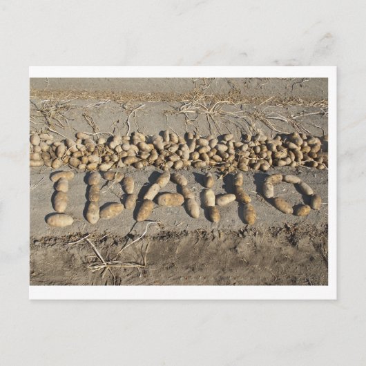 Idaho aardappelen briefkaart (Voorkant)