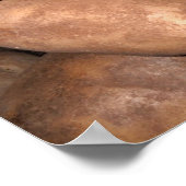 Idaho aardappelen poster (Hoek)