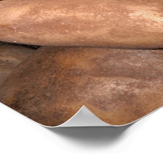 Idaho aardappelen poster (Hoek)