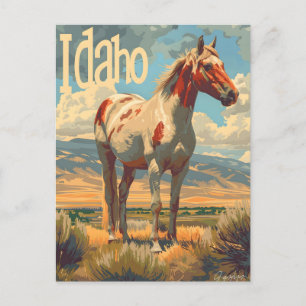 Idaho Appaloosa Paard Briefkaart