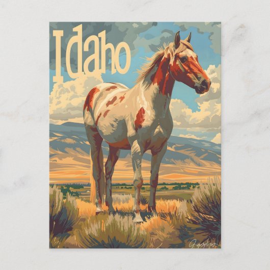 Idaho Appaloosa Paard Briefkaart (Voorkant)