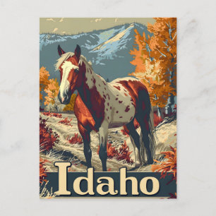 Idaho Appaloosa paard Briefkaart
