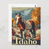 Idaho Appaloosa paard Briefkaart (Voorkant / Achterkant)