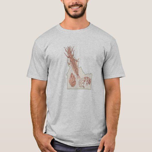 Idaho aqautic macroinvertebrates t-shirt (Voorkant)