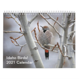 Idaho Birds! Agenda 2021 Kalender