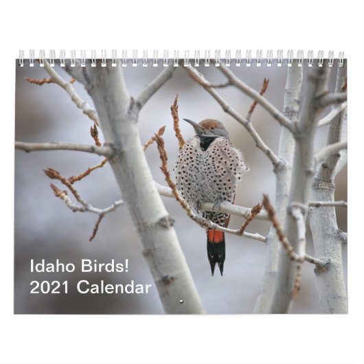 Idaho Birds! Agenda 2021 Kalender (Hoes)