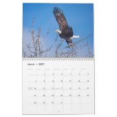 Idaho Birds! Agenda 2021 Kalender (Mar 2027)