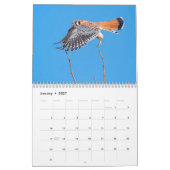 Idaho Birds! Agenda 2021 Kalender (Jan 2027)