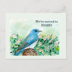 Idaho Briefkaart