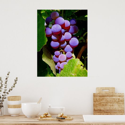 Idaho Concord Grapes Poster (Keuken)