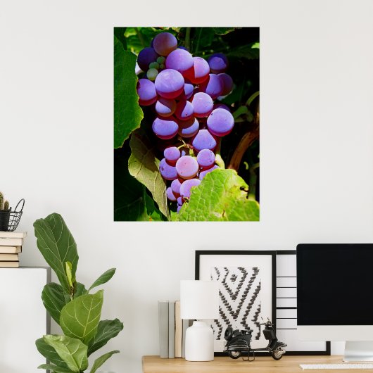 Idaho Concord Grapes Poster (Thuiskantoor)
