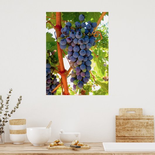 Idaho Concord Grapes Poster (Keuken)