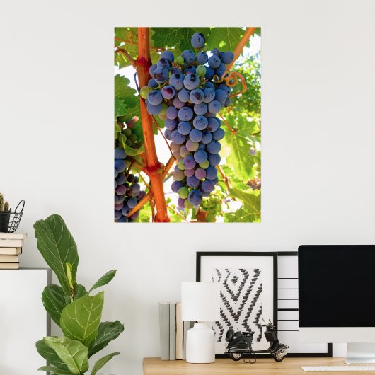 Idaho Concord Grapes Poster (Thuiskantoor)
