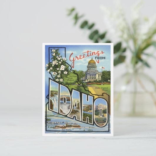 Idaho Greetings uit de VS Briefkaart (Staand voorkant)