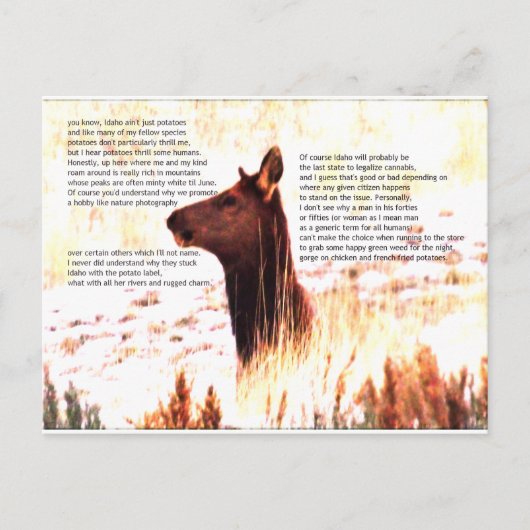 Idaho is niet alleen aardappelen briefkaart (Voorkant)