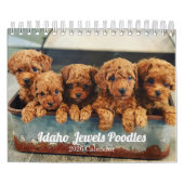 Idaho Jewels Poodles | 2026 Calendar Kalender (Hoes)
