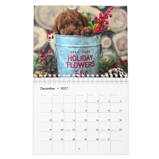 Idaho Jewels Poodles | 2026 Kalender (Dec 2027)