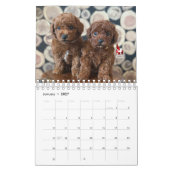Idaho Jewels Poodles | 2026 Kalender (Jan 2027)