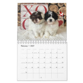 Idaho Jewels Poodles | 2026 Kalender (Feb 2027)
