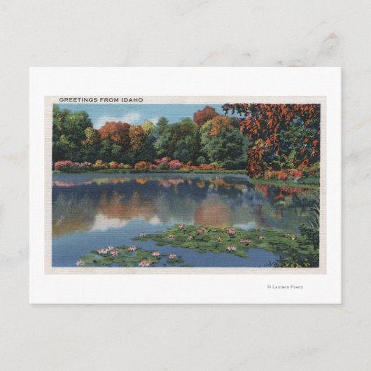 Idaho Lake Scene met Lily PadsIdaho Briefkaart (Voorkant)