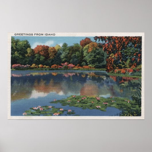 Idaho Lake Scene met Lily PadsIdaho Poster (Voorkant)