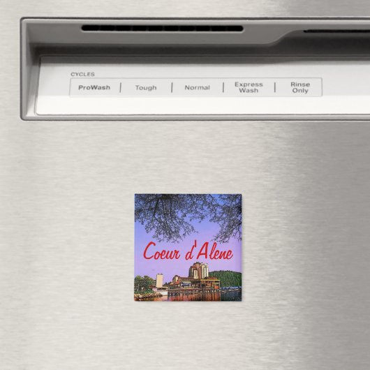 Idaho Magnet (Insitu (Vaatwasser))