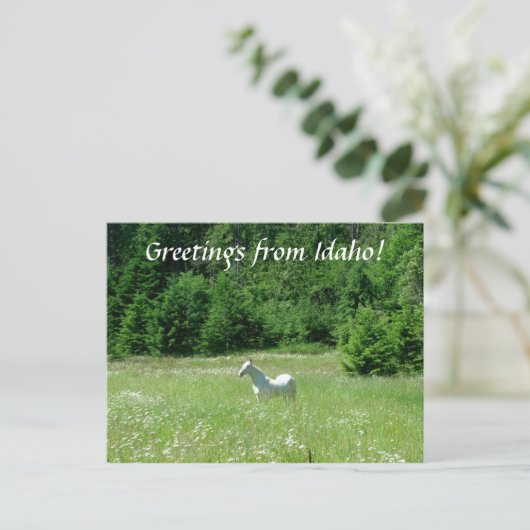 Idaho Meadow - Briefkaart (Staand voorkant)